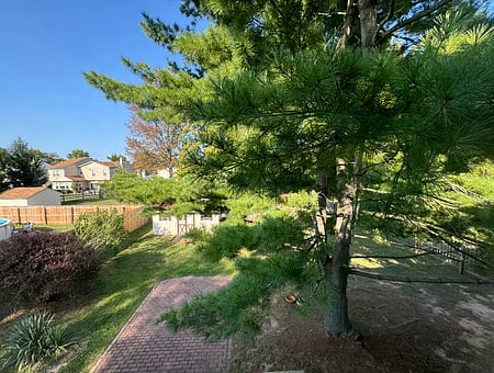 property_photo