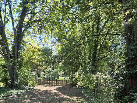 property_photo