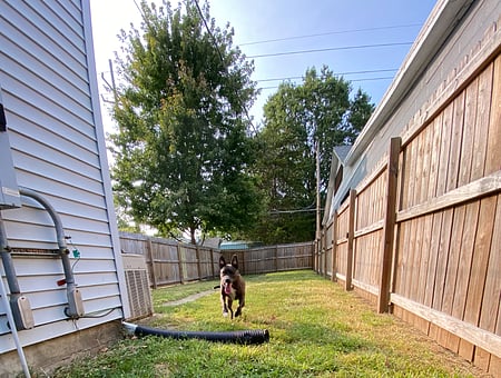 property_photo