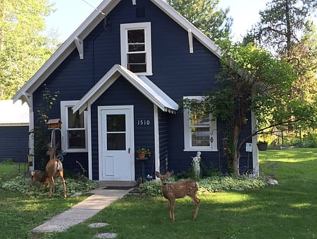 property_photo