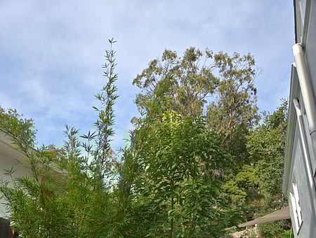 property_photo