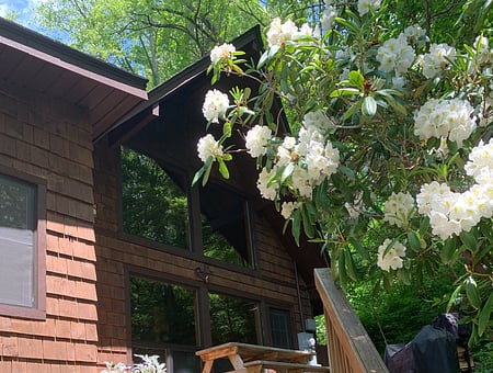 property_photo