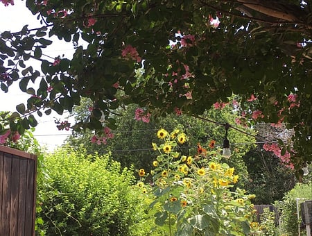 property_photo