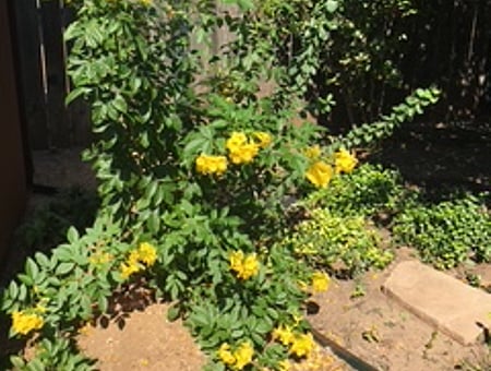property_photo