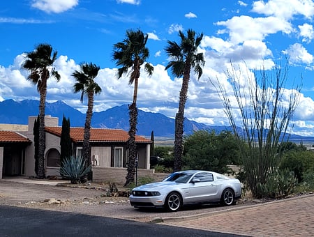 property_photo