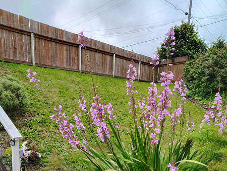 property_photo