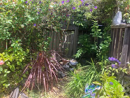 property_photo