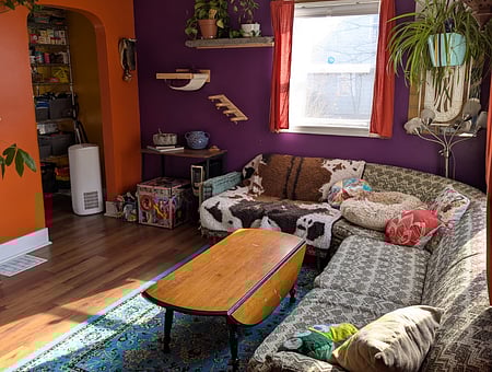 property_photo