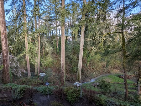 property_photo