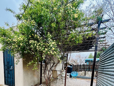 property_photo