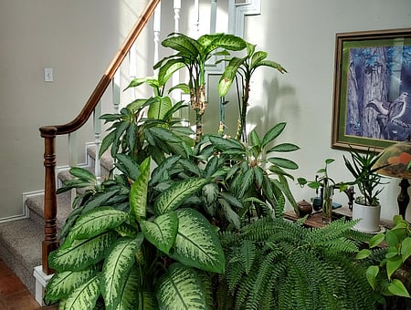 property_photo
