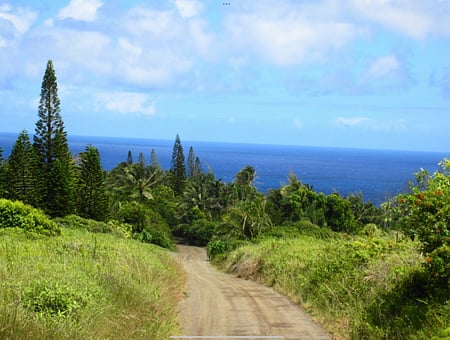 property_photo