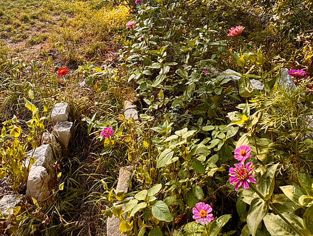 property_photo