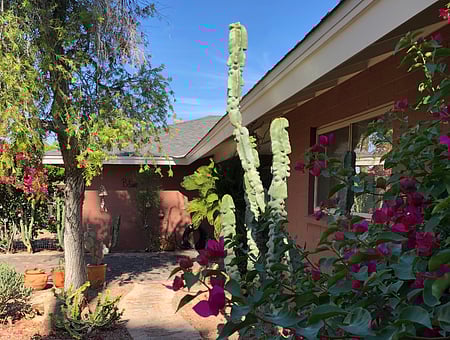 property_photo