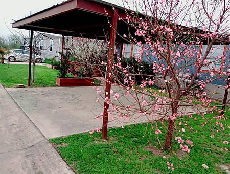 property_photo