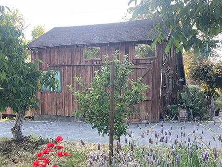 property_photo