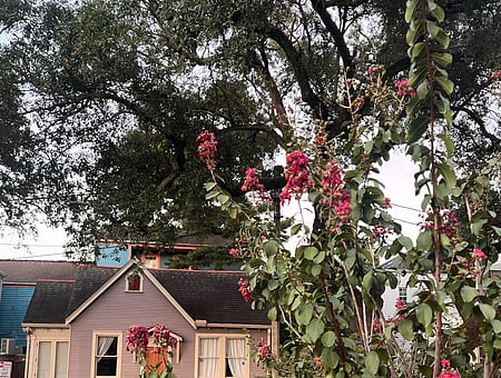 property_photo