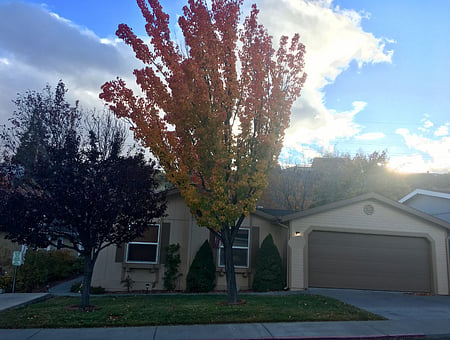 property_photo