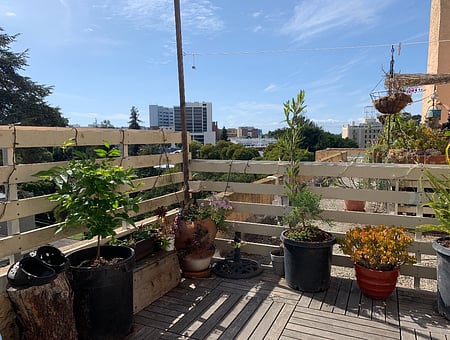 property_photo