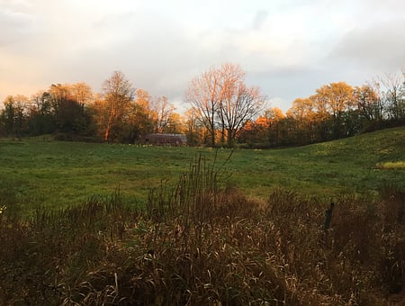 property_photo