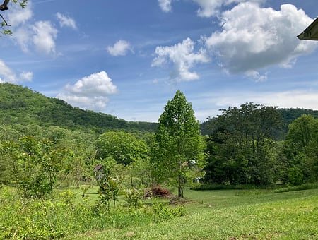 property_photo