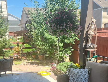 property_photo