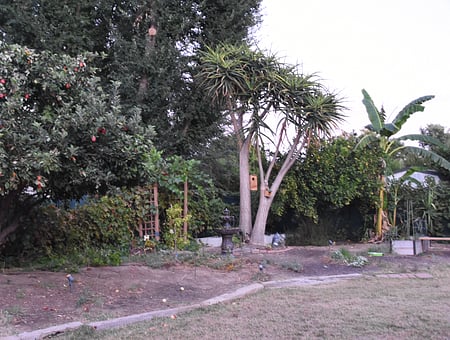 property_photo