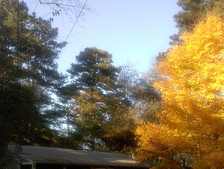 property_photo