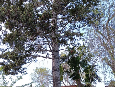 property_photo