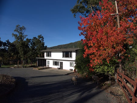 property_photo