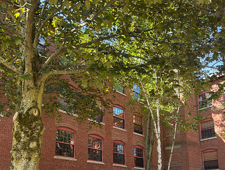 property_photo