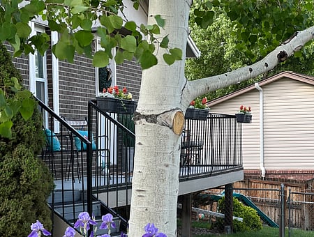 property_photo