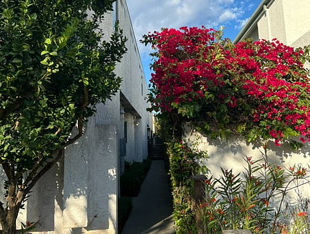 property_photo