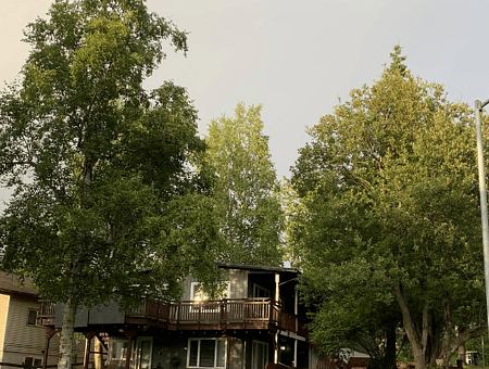 property_photo