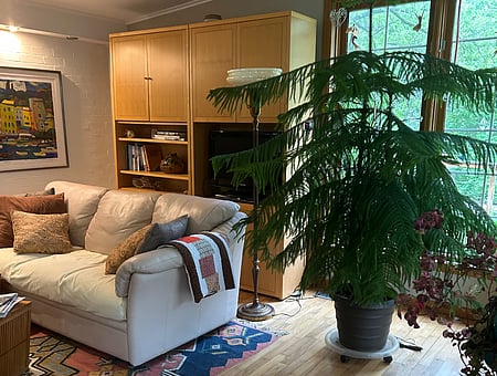 property_photo