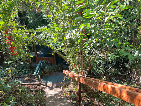 property_photo