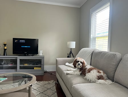 property_photo