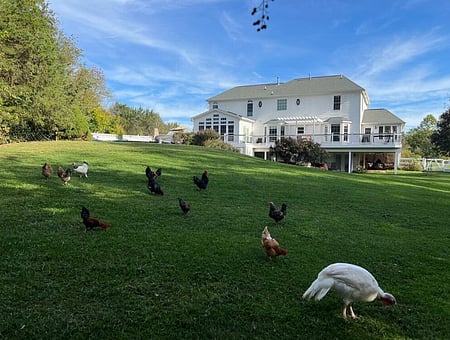 property_photo