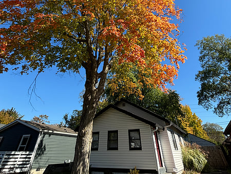 property_photo