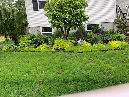 property_photo