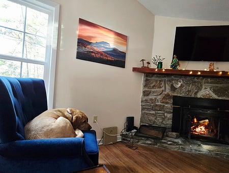 property_photo