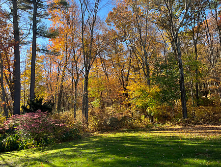 property_photo