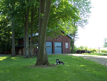 property_photo