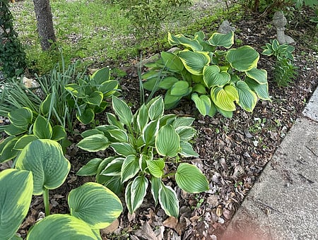 property_photo