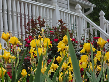 property_photo