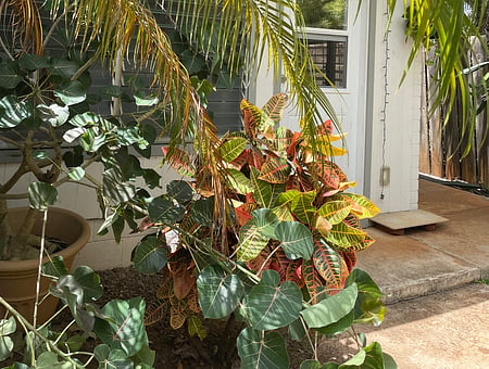 property_photo